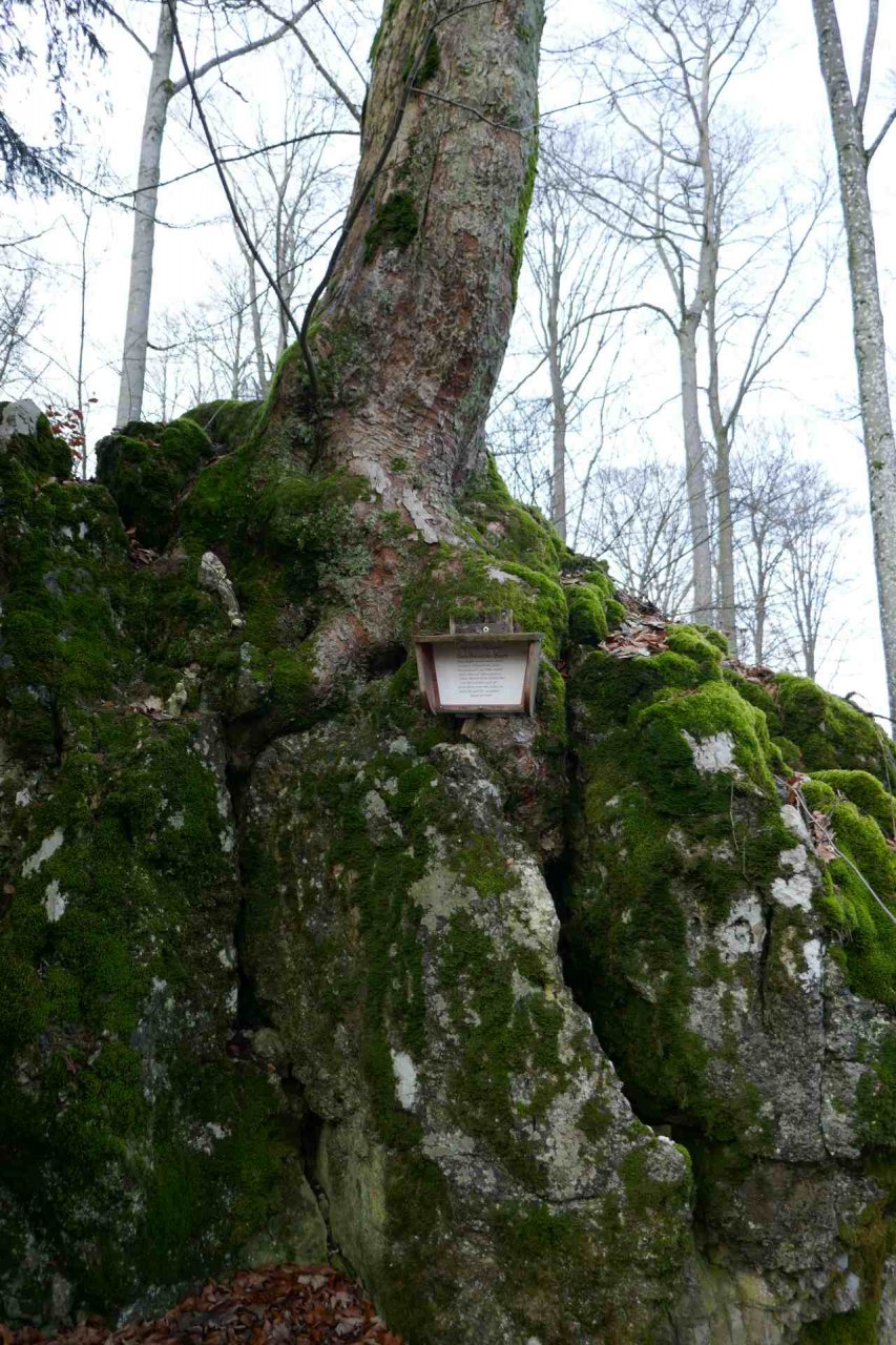 01 Januar - rund um den Wöllerstein